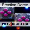 Érection Dorée 01